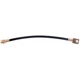 Purchase Top-Quality Rear Brake Hose by RAYBESTOS - BH36656 pa2