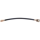 Purchase Top-Quality Rear Brake Hose by RAYBESTOS - BH36656 pa4