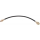 Purchase Top-Quality Rear Brake Hose by RAYBESTOS - BH36684 pa16
