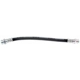 Purchase Top-Quality Rear Brake Hose by RAYBESTOS - BH36747 pa2
