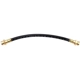 Purchase Top-Quality RAYBESTOS - BH36892 - Rear Brake Hose pa6
