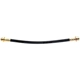 Purchase Top-Quality Rear Brake Hose by RAYBESTOS - BH38006 pa6