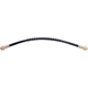 Purchase Top-Quality Rear Brake Hose by RAYBESTOS - BH380070 pa2