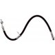 Purchase Top-Quality Rear Brake Hose by RAYBESTOS - BH380101 pa12