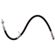 Purchase Top-Quality Rear Brake Hose by RAYBESTOS - BH380101 pa6