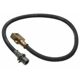 Purchase Top-Quality Rear Brake Hose by RAYBESTOS - BH380136 pa1
