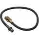 Purchase Top-Quality Rear Brake Hose by RAYBESTOS - BH380136 pa6