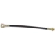 Purchase Top-Quality Rear Brake Hose by RAYBESTOS - BH380245 pa1