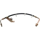 Purchase Top-Quality Rear Brake Hose by RAYBESTOS - BH380325 pa4