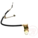 Purchase Top-Quality Rear Brake Hose by RAYBESTOS - BH380336 pa4