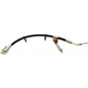 Purchase Top-Quality Rear Brake Hose by RAYBESTOS - BH380338 pa10