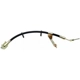Purchase Top-Quality Rear Brake Hose by RAYBESTOS - BH380338 pa12