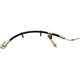 Purchase Top-Quality Rear Brake Hose by RAYBESTOS - BH380338 pa14