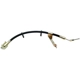 Purchase Top-Quality Rear Brake Hose by RAYBESTOS - BH380338 pa4