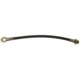 Purchase Top-Quality Rear Brake Hose by RAYBESTOS - BH380468 pa2