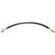 Purchase Top-Quality Rear Brake Hose by RAYBESTOS - BH380520 pa2