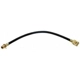 Purchase Top-Quality Rear Brake Hose by RAYBESTOS - BH38068 pa1