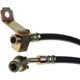 Purchase Top-Quality RAYBESTOS - BH380773 - Rear Brake Hose pa3