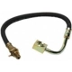 Purchase Top-Quality Rear Brake Hose by RAYBESTOS - BH381053 pa1