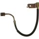 Purchase Top-Quality Rear Brake Hose by RAYBESTOS - BH381073 pa4