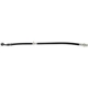 Purchase Top-Quality Rear Brake Hose by RAYBESTOS - BH381100 pa2