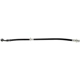 Purchase Top-Quality Rear Brake Hose by RAYBESTOS - BH381100 pa4