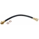 Purchase Top-Quality Rear Brake Hose by RAYBESTOS - BH381115 pa12