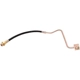 Purchase Top-Quality Rear Brake Hose by RAYBESTOS - BH381139 pa12
