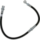 Purchase Top-Quality Rear Brake Hose by RAYBESTOS - BH381150 pa12