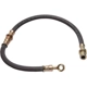 Purchase Top-Quality Rear Brake Hose by RAYBESTOS - BH381151 pa8