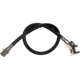 Purchase Top-Quality RAYBESTOS - BH381164 - Rear Brake Hose pa16