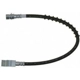 Purchase Top-Quality Rear Brake Hose by RAYBESTOS - BH381167 pa2