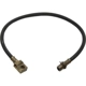 Purchase Top-Quality Rear Brake Hose by RAYBESTOS - BH381245 pa5