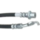 Purchase Top-Quality Rear Brake Hose by RAYBESTOS - BH381293 pa1