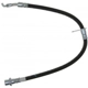Purchase Top-Quality Rear Brake Hose by RAYBESTOS - BH381294 pa11