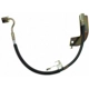 Purchase Top-Quality Rear Brake Hose by RAYBESTOS - BH381309 pa11
