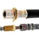 Purchase Top-Quality Rear Brake Hose by RAYBESTOS - BH381323 pa9