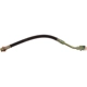 Purchase Top-Quality Rear Brake Hose by RAYBESTOS - BH381384 pa1