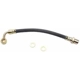 Purchase Top-Quality Rear Brake Hose by RAYBESTOS - BH381388 pa9