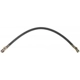 Purchase Top-Quality Rear Brake Hose by RAYBESTOS - BH381470 pa12