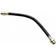Purchase Top-Quality Rear Brake Hose by RAYBESTOS - BH381501 pa4