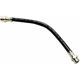 Purchase Top-Quality Rear Brake Hose by RAYBESTOS - BH381501 pa9