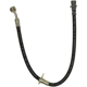 Purchase Top-Quality Rear Brake Hose by RAYBESTOS - BH381600 pa13