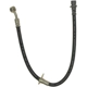 Purchase Top-Quality Rear Brake Hose by RAYBESTOS - BH381600 pa4