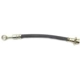 Purchase Top-Quality Rear Brake Hose by RAYBESTOS - BH381622 pa1