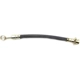 Purchase Top-Quality Rear Brake Hose by RAYBESTOS - BH381622 pa5