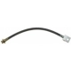 Purchase Top-Quality Rear Brake Hose by RAYBESTOS - BH381650 pa2