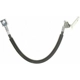 Purchase Top-Quality Rear Brake Hose by RAYBESTOS - BH382358 pa12
