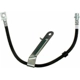 Purchase Top-Quality Rear Brake Hose by RAYBESTOS - BH382387 pa11