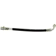Purchase Top-Quality Rear Brake Hose by RAYBESTOS - BH382421 pa11